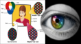 Demostración Experimental de Cómo la el ojo Percibe los Colores